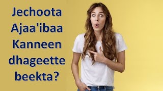 Jechoota Saayikoloji Ajaaibsiisoo Fi Gootummaa Qaban  Amazing Psychology Quotes