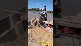 Pesca con red en el río Paraná