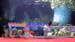 SPHS Human Services Academy: Puppet Show - "Environment" (2016)