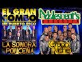 El Gran Combo de Puerto Rico, Grupo Niche, Orquesta Guayacán, Adolescent&#39;s Orquesta, Frankie Ruiz