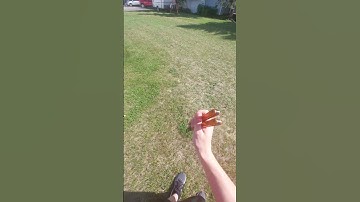 missed choker fan #balisong #balisongflipping #butterflyknife