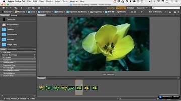 #05 How To Customize The Workspace in Adobe Bridge   Adobe Photoshop CC Tutorials