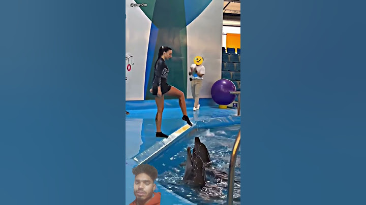 Jab Dolphin trick Me Hui Gadbad (