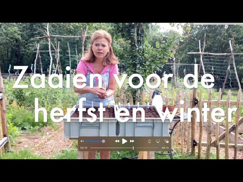 Video: Kobaltblauw: De Verrassing Van De Herfst