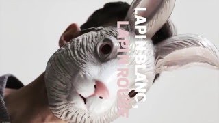 Lapin blanc, lapin rouge | Bande-annonce