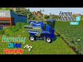 How to harvest and fertilise The Olives Orchard | Farming Simulator 23 |