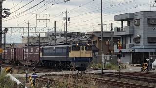 10月13日 5087レ EF65 2091+キヤ95