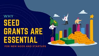 Why Seed Grants Are Essential for New NGOs and Startups