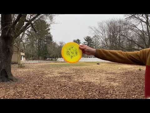 Disc Golf Test