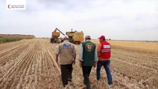 مشروع زراعة القمح في الداخل السوري للعام 2017
