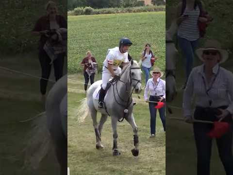 Harry Meade, such a gentleman; the 2016 ice cream incident, only in England? #eventing #equestrian