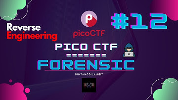 PicoCTF (Forensic) [Investigative Reversing 2] #12