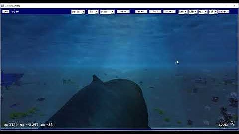 follow 3D whale dive openGL