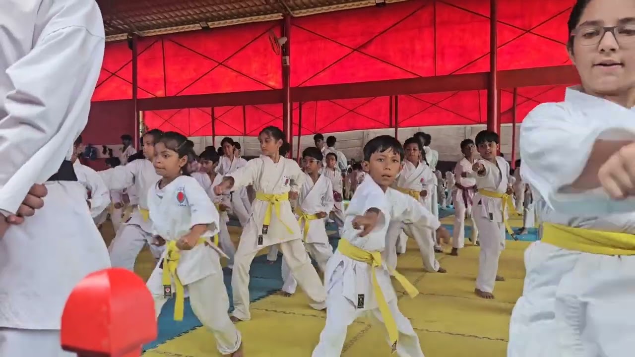 Congratulations for orange belt kiddos 👏 # rs channel 005 