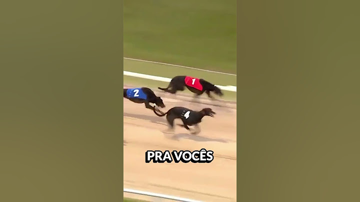 CACHORRO MAIS RÁPIDO DO MUNDO! #interessante #curioso #cachorro