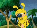 Marsupilami Full Episodes Season 2 Episodes 22 24 