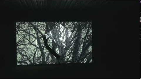 Open Mind / Misdirection