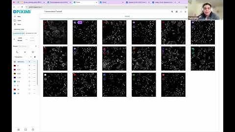 Piximi: Installation-free Segmentation and Calssification in the Browser