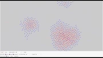 Boids Simulation