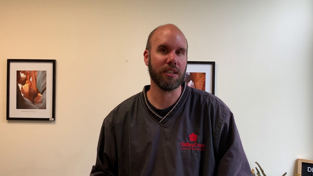 Best Point of Sale System Solutions in Hilton Head, and Bluffton, SC | Proudly