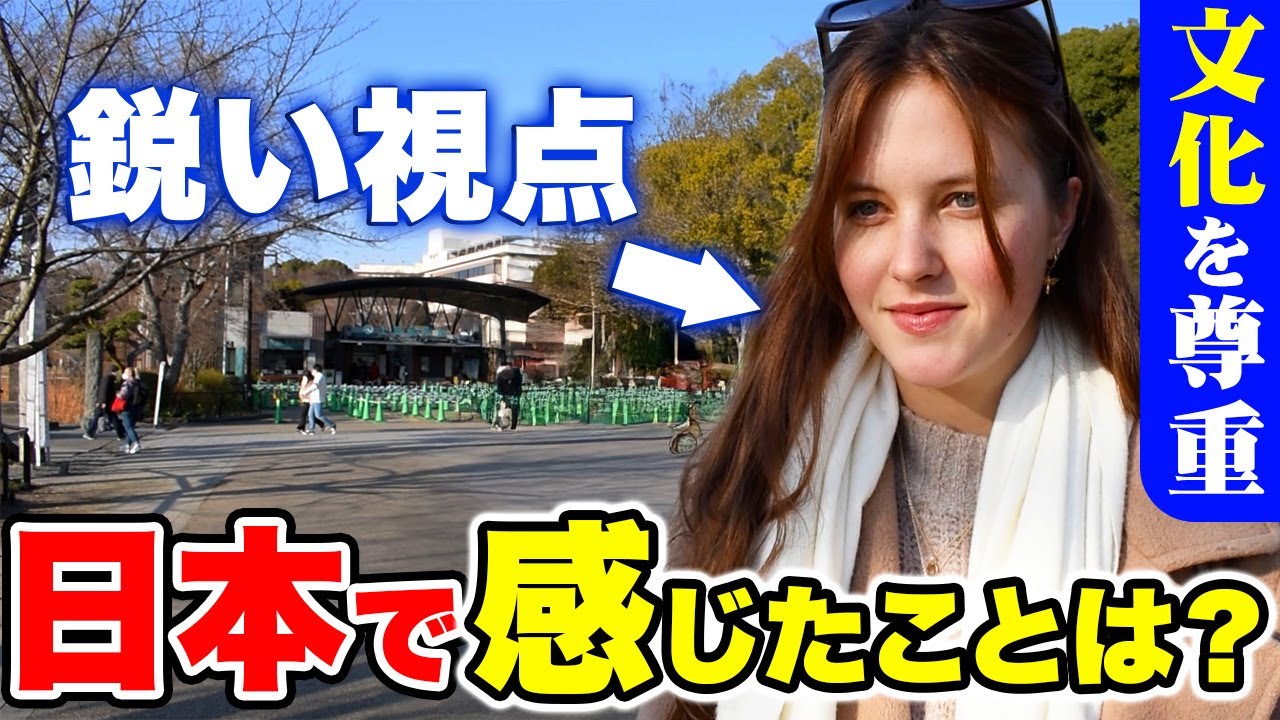 [Немцы и австрийцы хвалят Японию] «Япония потрясающая!» В чём шокирующие различия между Японией и...