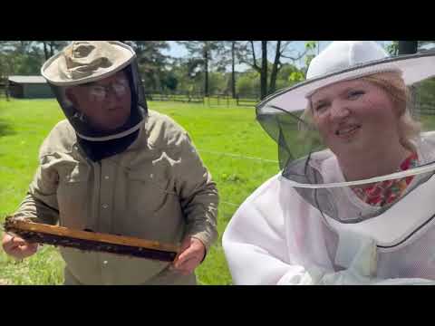 The Birds & The Bees, Bee School 2023