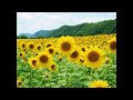 丘に登りて・てまり