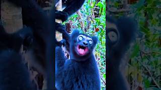 hadza boys Hunting strange anima #hunting #africanculture #hadzabetribe #shorts