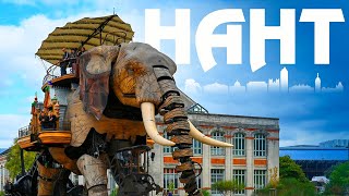 видео: 🇨🇵 НАНТ | Чудо слон в городе! В восторге от родины Жюля Верна! картинка: 🇨🇵 НАНТ | Чудо слон в городе! В восторге от родины Жюля Верна!