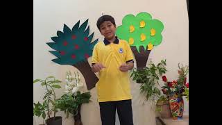 Story The Proud Tree & Fig Trees