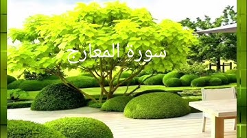 تمتع بالصوت الجميل للشيخ ابو بكر الشاطري سورة المعارج