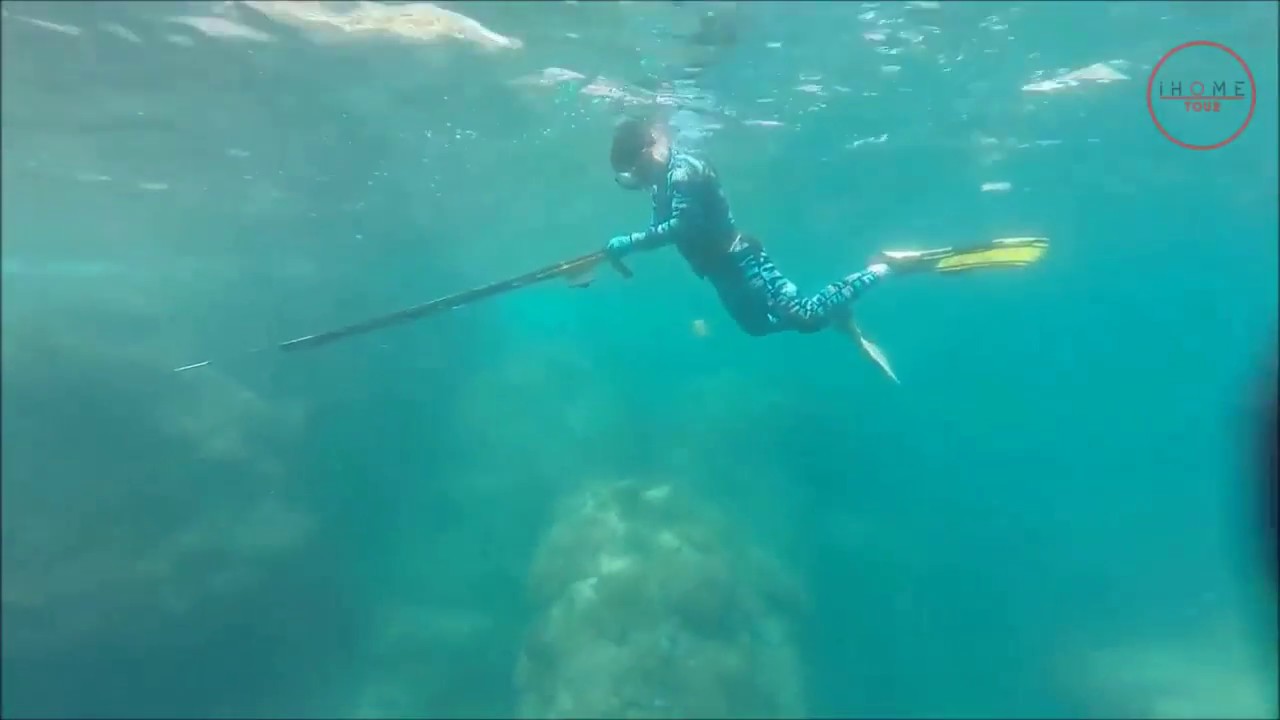 lan bien nha trang New 2022 Tour săn bắn cá - Lặn biển Nha Trang