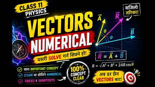 Class 11 Physics Vectors Numerical in Nepali | Exam Ready Concepts.