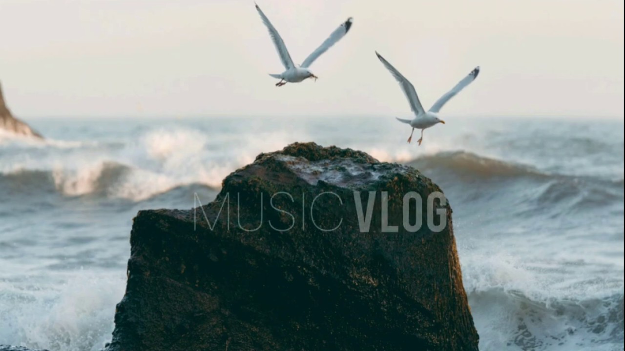 Lauren Duski: Fridaze [MAXCEE MUSIC] (2020)