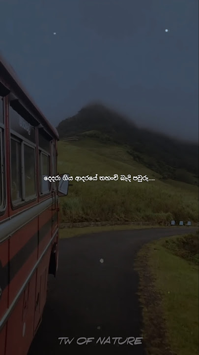 දෙදරා ගිය ආදරයේ තහංචි බැදි පවුරු🥰#shorts #foryou #fyp #natural #vairalvideo