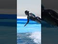 ラビーと小松トレーナーの愛は本物だね♥ #Shorts #鴨川シーワールド #シャチ #kamogawaseaworld #orca #killerwhale