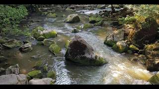 Tour 22 - Irreler Wasserfälle in der Eifel mit Komoot