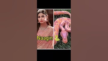 all Naagins 🐍❤️💖 Vs matching Snake 💝💝💝🐍🐍🐍💝💝💝💝💝💝#viral #shorts