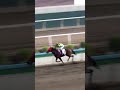 7 | FOREMOST TEDDY | K Teetan | #KTeetan #Teetan #Horse #Racing #Sport #Results #賽馬結果 #马會 #油管 #赛马结果