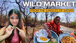 Exploring the Wild Market of Sasangir | Sunset Point Full Tour |  Organic Jaggery & Honey | Gujarat