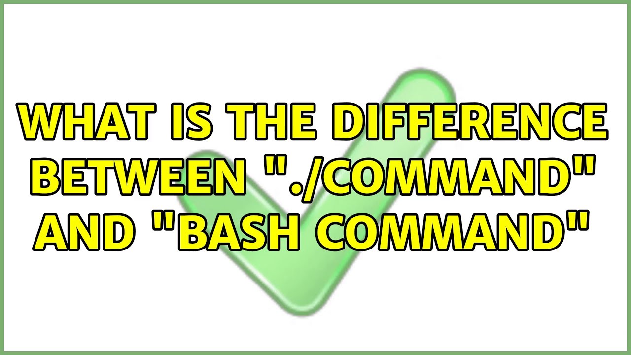 What is the difference between "./command" and "bash command" - YouTube