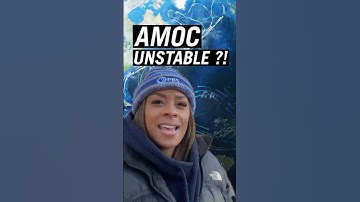 How We Know The AMOC Will Collapse Again