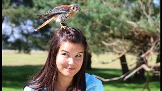 Anna Und Die Wilden Tiere - Der Falkner Und Seine Greifvögel