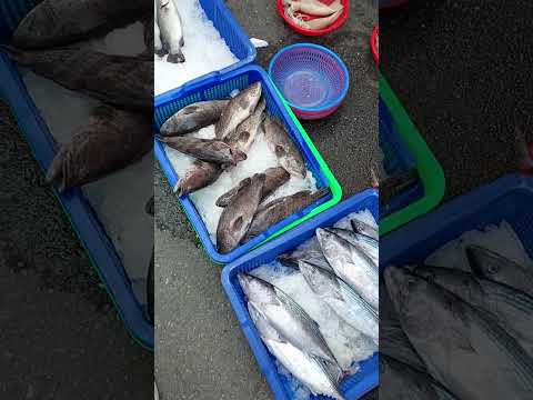 Sarisaring isda at seafoods na binibenta sa palengke ng Taiwan - YouTube