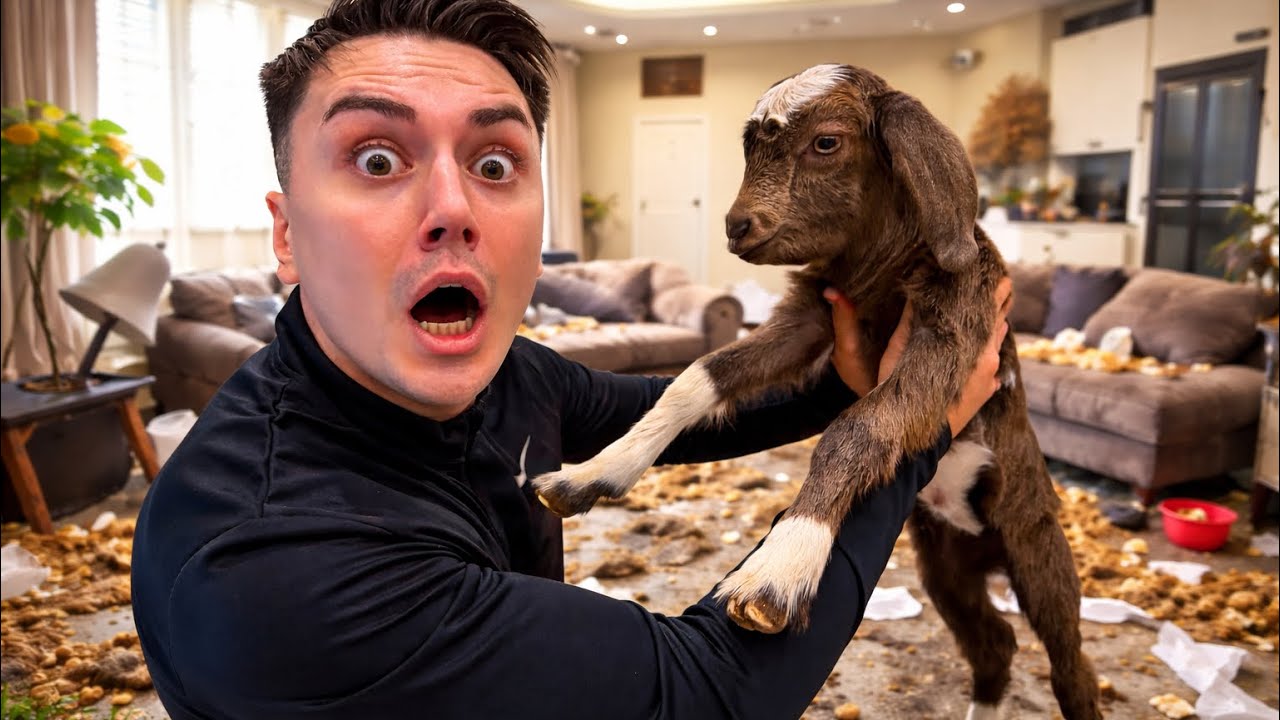 WIR haben ZIEGEN als HAUSTIERE gekauft… großer Fehler! 😱