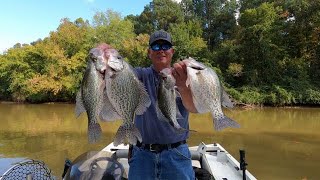 Spring 2024: Master Crappie Fishing with These Tips
