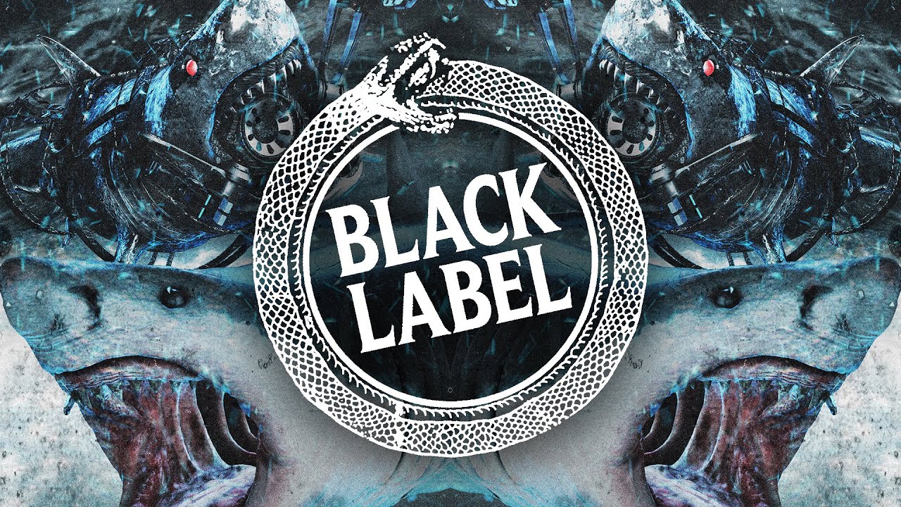 Megalodon - Fight Me