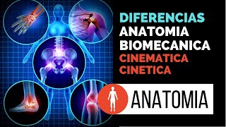 Biomecánica, ANATOMIA, cinemática, cinética y anatomía funcional diferencias.