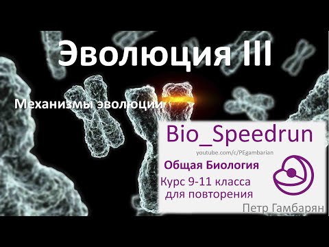 22. Эволюция часть III (Speedrun общая биология 9-11 класс, ЕГЭ, ОГЭ 2021)