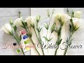 Let's draw beautiful White Lisianthus in Watercolor. Tutorial step by step.